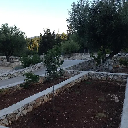 Tselentata フィスカルドン